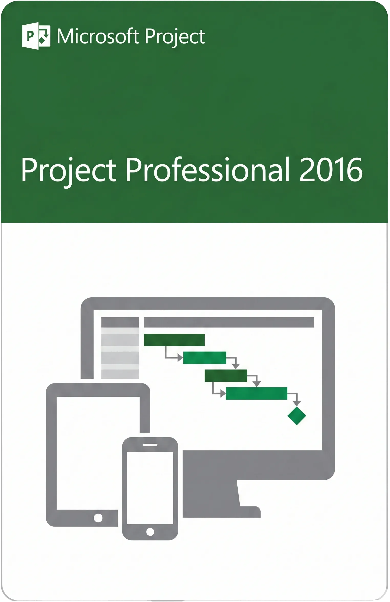 Project Professional 2016 para 1 PC