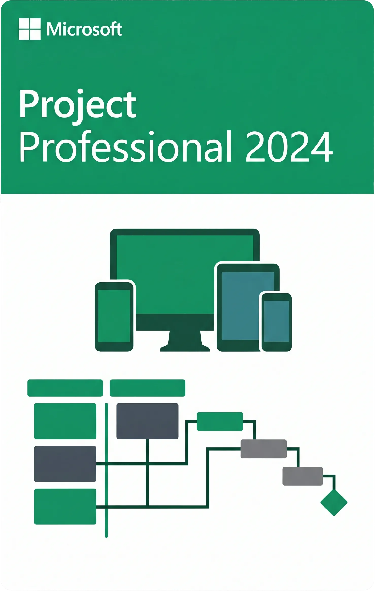 Project Professional 2024 para 1 PC