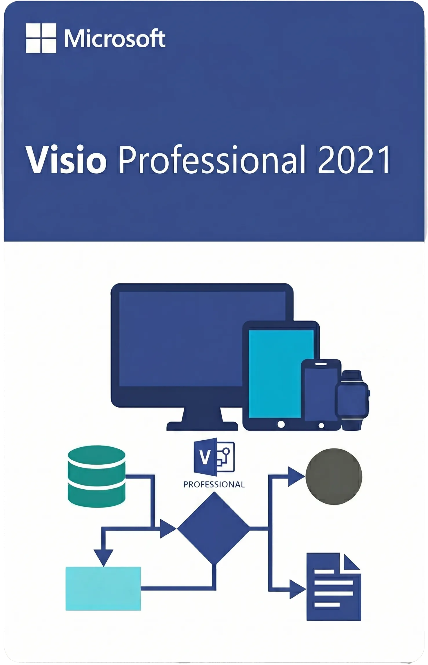 Visio Professional 2021 1PC