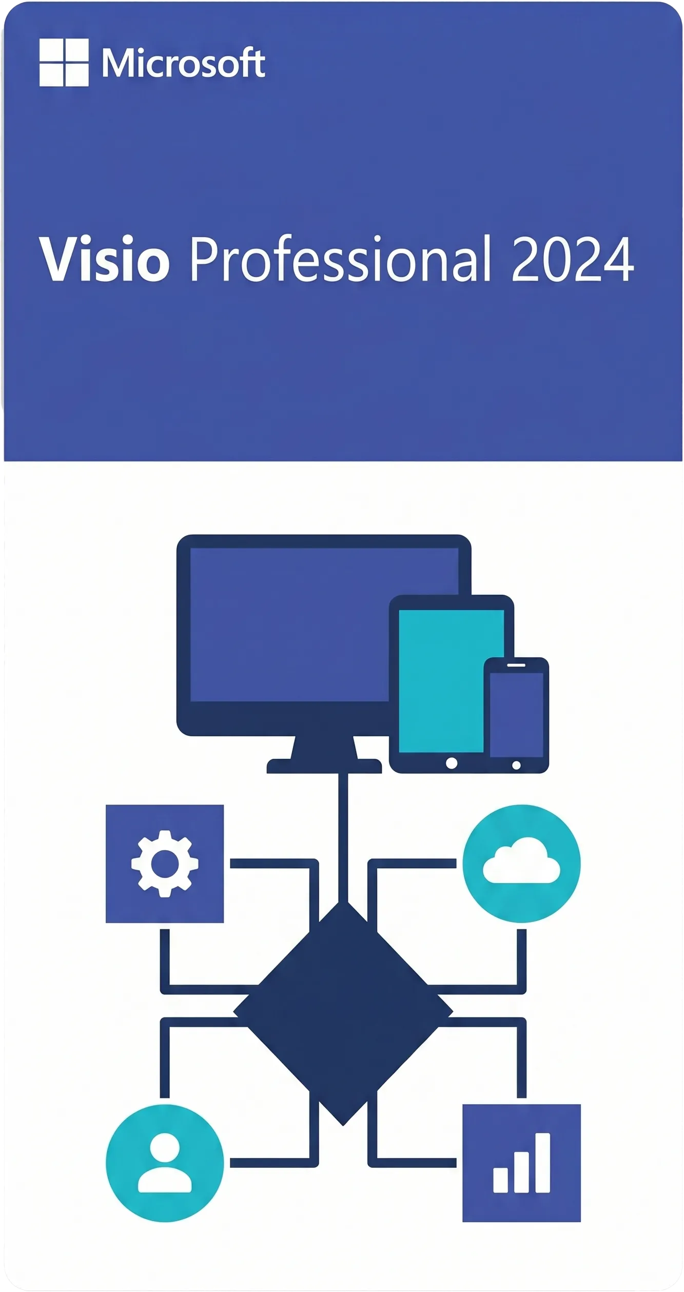 Visio Professional 2024 1PC